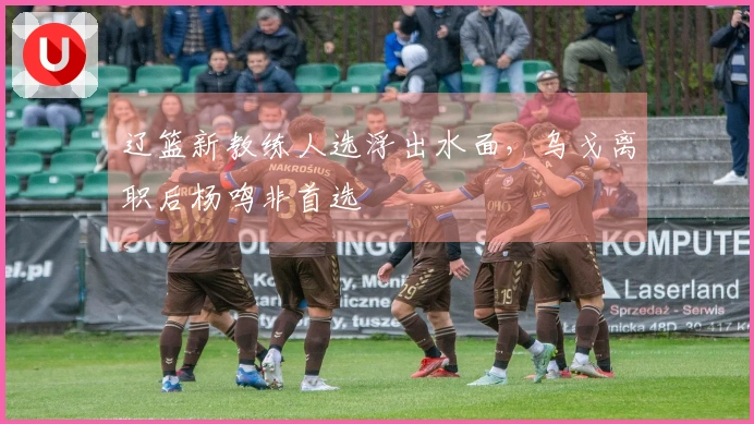 辽篮新教练人选浮出水面，乌戈离职后杨鸣非首选