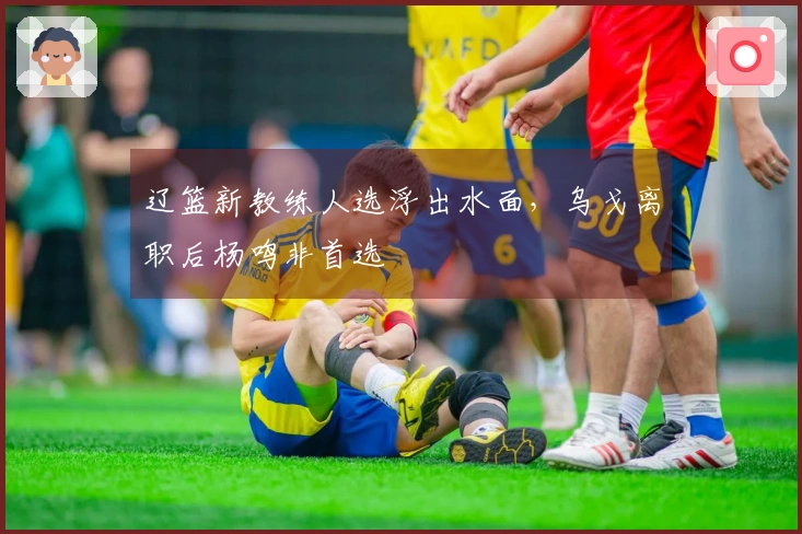 辽篮新教练人选浮出水面，乌戈离职后杨鸣非首选