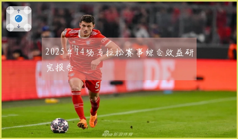 2025年14场马拉松赛事综合效益研究报告