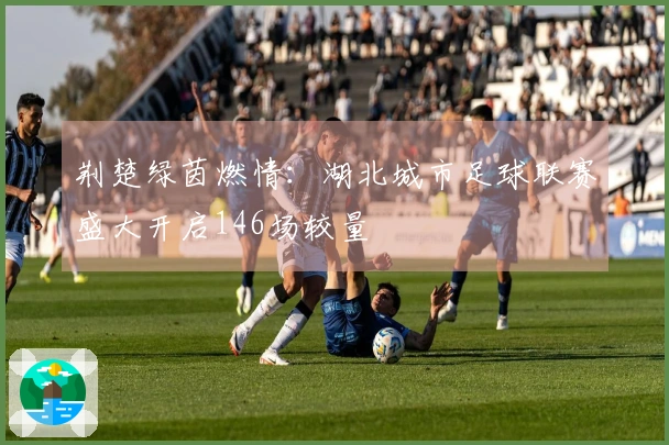 荆楚绿茵燃情：湖北城市足球联赛盛大开启146场较量